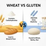 difference between wheat and gluten